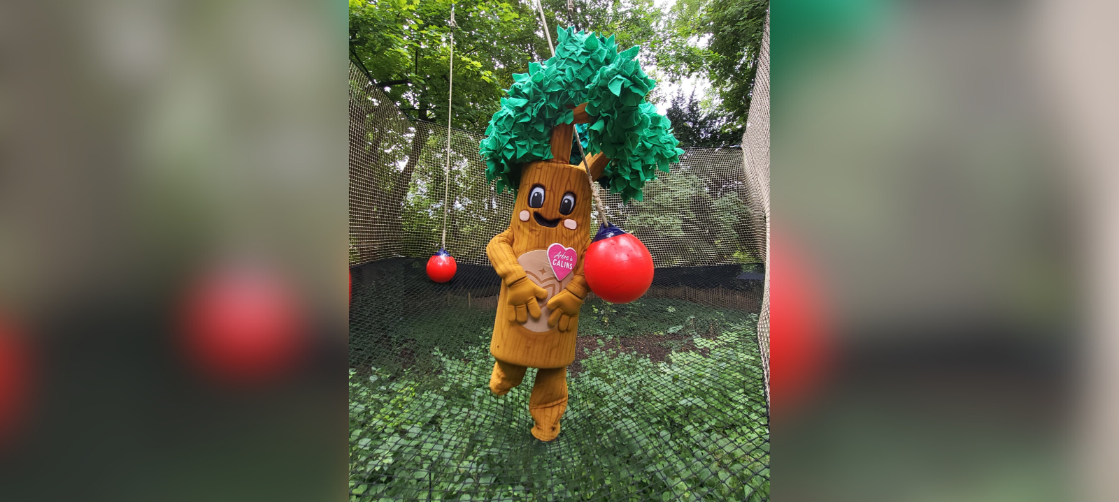 Vanessa-Schweitzer-Parc-loisirs-éco-nature (4)